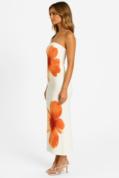Nani robe bustier longue