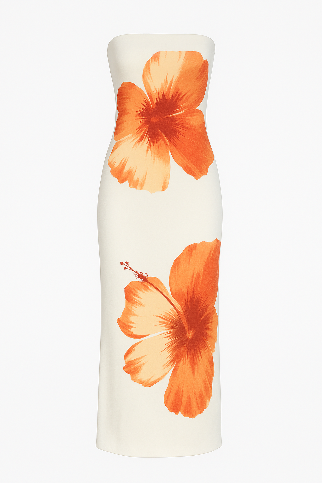 Nani robe bustier longue