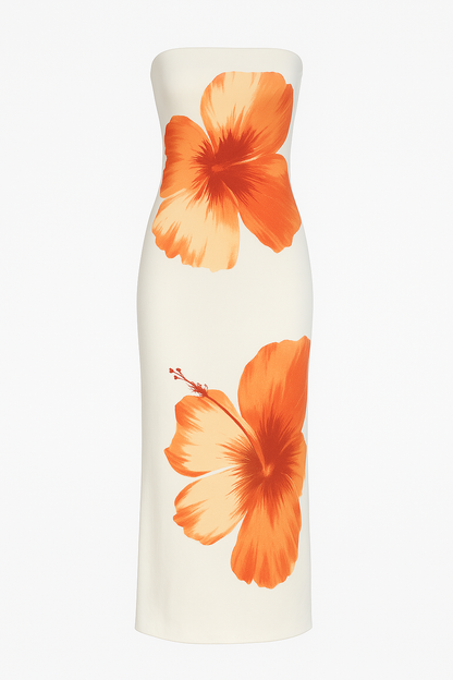 Nani robe bustier longue